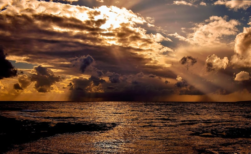 Marine Expeditions